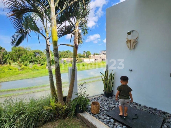 Charming 2-Bedroom Villa in Canggu with Pool and Spacious Yard for Rent