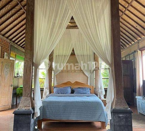 Cozy 1-Bedroom Villa with Rice Field Views in Ubud, Bali – Perfect Tranquil Retreat