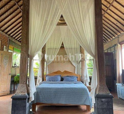 Cozy 1-Bedroom Villa with Rice Field Views in Ubud, Bali – Perfect Tranquil Retreat