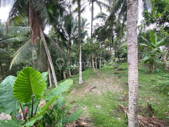 Luxurious 4-Bedroom Villa with Jungle Views in Kenderan, Ubud – Exceptional Investment Opportunity