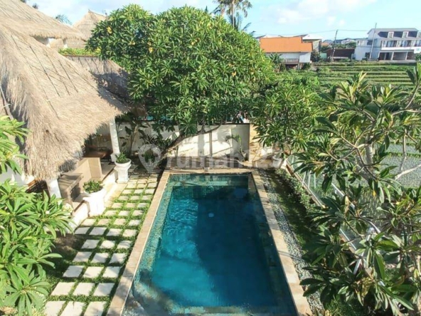 Luxury 3-Bedroom Villa Near Pererenan Beach with Stunning Rice Field Views for Annual Rent