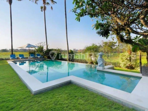 Luxury Villa with Rice Field Views in Batu Bolong, Canggu – 5 Bedrooms, Pool & Modern Amenities