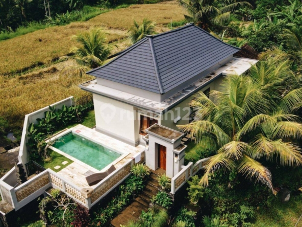 Modern 2-Bedroom House with Private Pool in Serene Ubud, Bali – 1100 m² Land