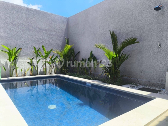 Modern Minimalist Villa in Canggu: 2 Bedrooms, Pool, Near Beaches & Clubs