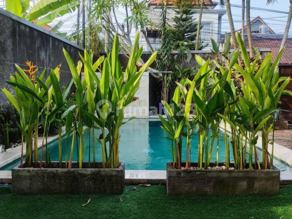 Modern Minimalist Villa in Umalas, Bali – 4 Bedrooms, Pool, Prime Location Near Nook