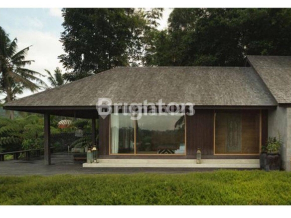 Serene 3-Bedroom Villa in Sanur with Pool, Privacy, and Rice Field Views – Ready by Late 2024