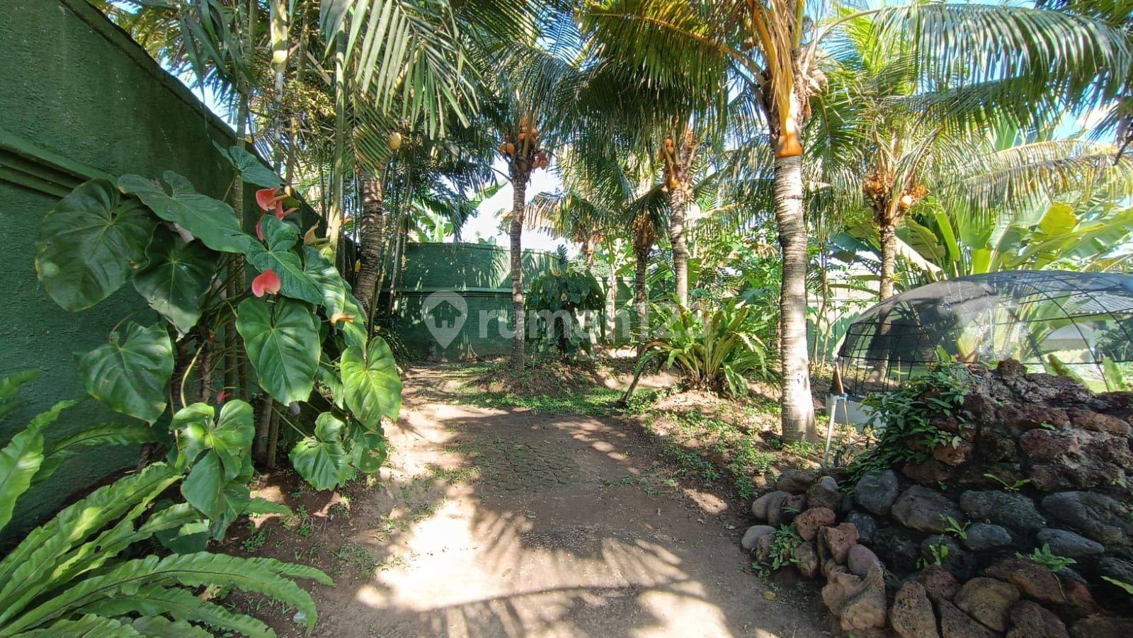 Denpasar Utara Villa Near Beach For Sale in Bali : Villa Near Beach Secure & Comfortable