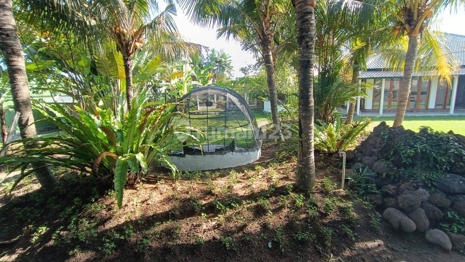 Goa Gong Villa For Sale in Bali : Villa Secure & Comfortable