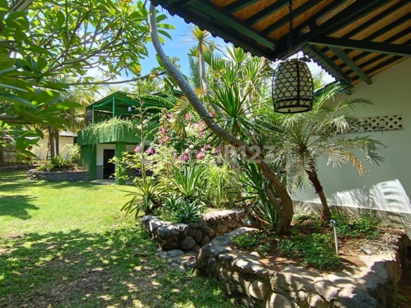 Spacious 3-Bedroom Villa for Long-Term Rent Near Ubud with Lush Garden and Tranquil Atmosphere