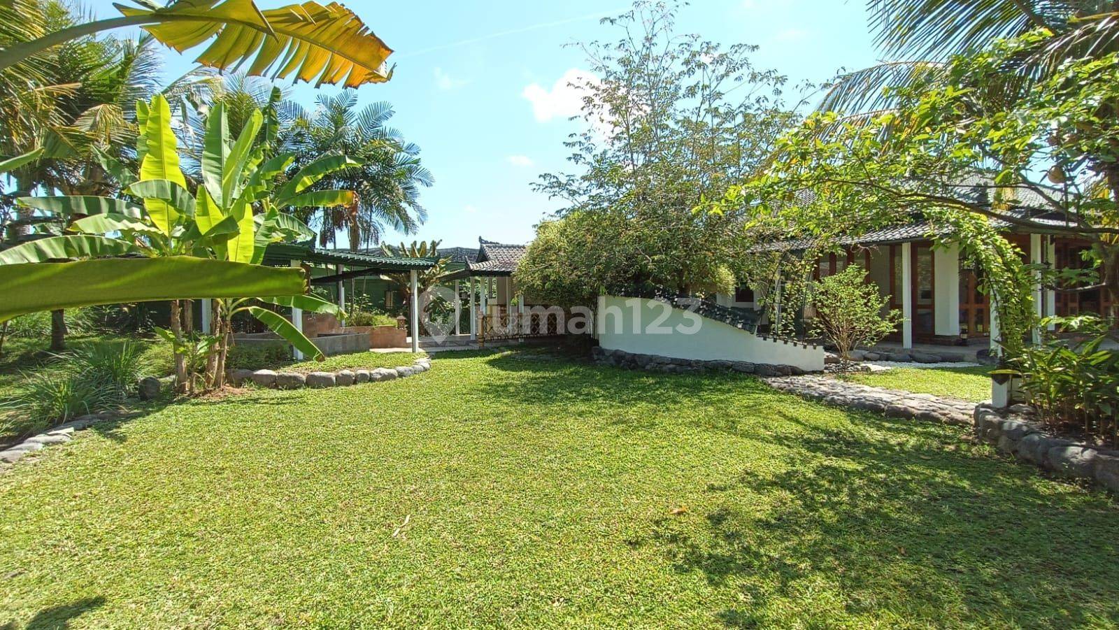 Canggu House For Sale in Bali : House Secure & Comfortable