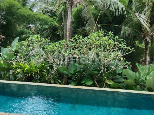 Stunning Minimalist Villa with River Views in Ubud – Perfect for Living or Investment